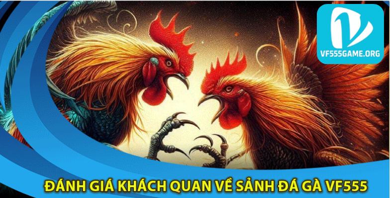 danh-gia-khach-quan-ve-sanh-da-ga-vf555