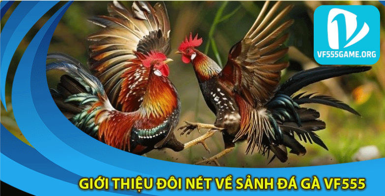 gioi-thieu-doi-net-ve-sanh-da-ga-vf555