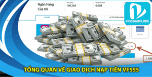 tong-quan-ve-nap-tien-vf555